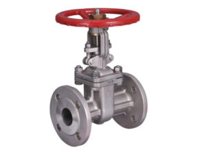 Marine Valve